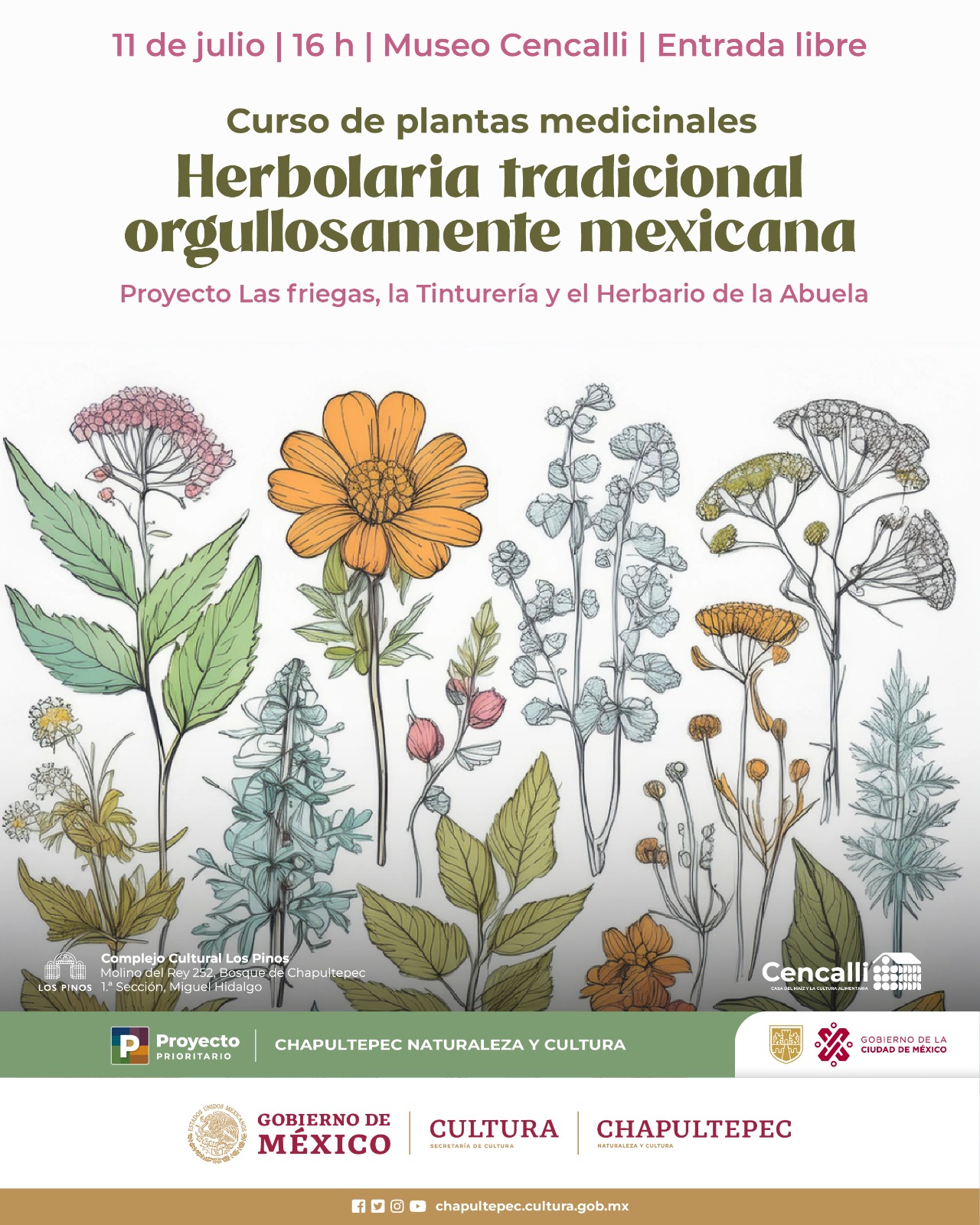 Actividad Curso De Plantas Medicinales