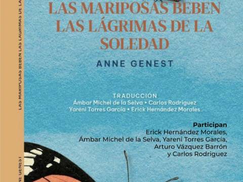 Las mariposas beben las lágrimas de la soledad